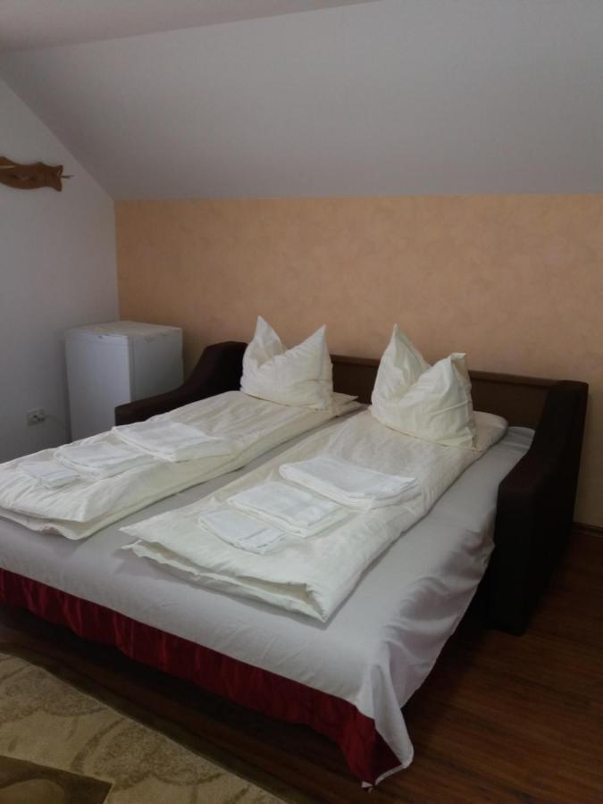 Bed and breakfast Casa Vlasea Albesti Sighişoara Extérieur photo