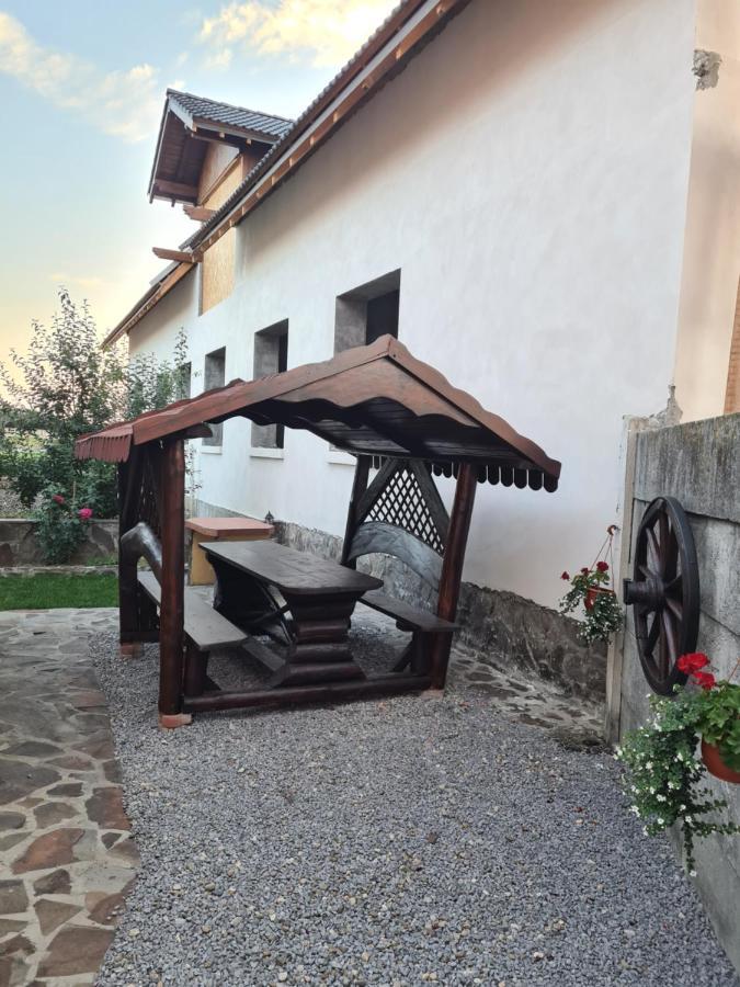 Bed and breakfast Casa Vlasea Albesti Sighişoara Extérieur photo